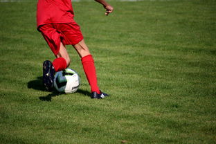 开云体育-拜仁轻取那不勒斯，C罗补时绝平世界杯——足球的极致魅力，激情与荣耀并存