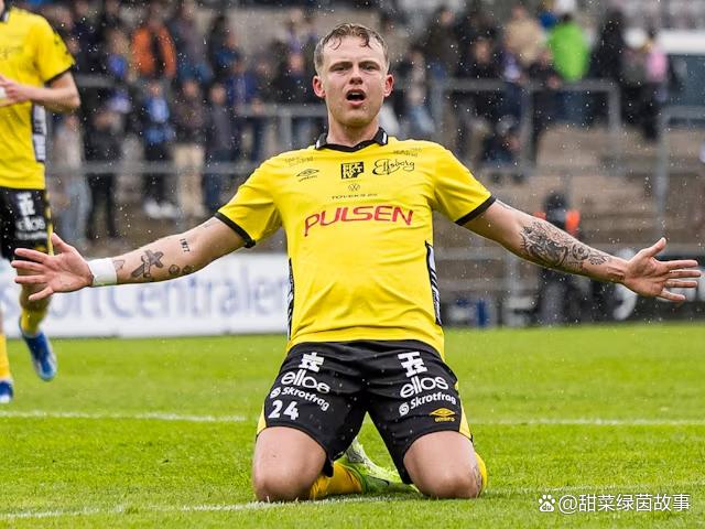 开云下载-包含瑞典队战绩不俗，晋级下一轮的词条